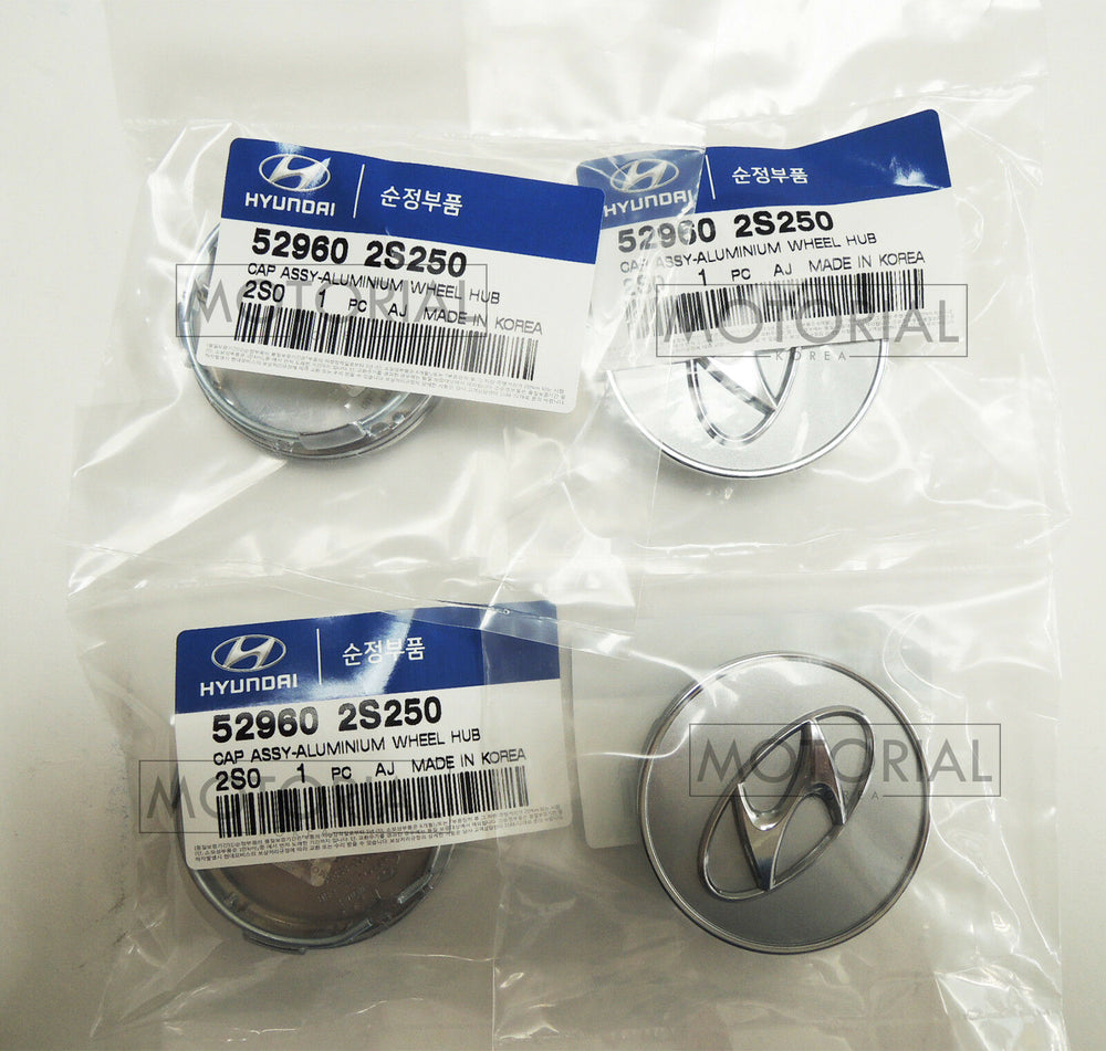 2010-2012 HYUNDAI SANTA FE Genuine OEM Wheel Center Hub Cap 4pcs Set 529602S250